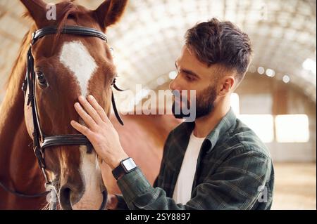 Nahansicht. Das Tier berühren. Ein junger Mann mit einem Pferd ist im Hangar. Stockfoto