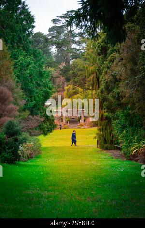 Person, die einen üppig grünen Gartenweg entlang geht, umgeben von hoch aufragenden Bäumen, der zu einem rustikalen Holzgebäude in der Ferne führt Stockfoto
