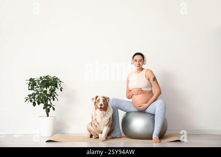 Junge glückliche sportliche schwangere Frau in Kopfhörern und süßes Australian Shepherd Hundetraining mit Fitnessball zu Hause Stockfoto
