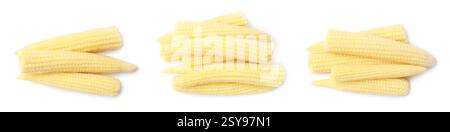 Gelbe Maiskolben isoliert auf weiß Stockfoto