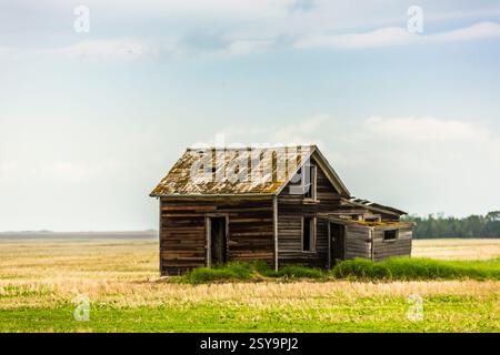 Kleines, altes Haus mit einem Dach aus Holzschindeln. Das Haus ist von einem Grasfeld umgeben Stockfoto
