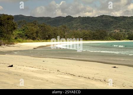Sandstrand von Tarimbang in Tabung, East Sumba, East Nusa Tenggara, Indonesien. Stockfoto