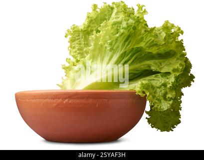 Ein Haufen frischer grüner Salatblätter auf Tontopf oder Schüssel isolierter weißer Hintergrund, knusprige lebhafte und feuchte Grundnahrungsmittel in Salaten und erfrischenden Gerichten Stockfoto