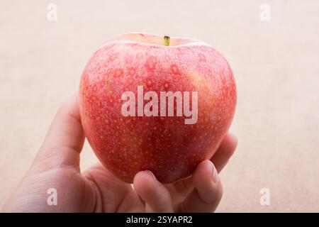 Zurück zum Thema Schule mit einem roten Apfel Stockfoto