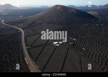 Aus der Vogelperspektive wird die einzigartige Landschaft von La Geria, Lanzarote, mit traditionellen vulkanischen Steinreben hervorgehoben. Stockfoto