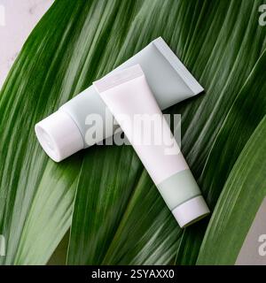 Zwei Kosmetikröhrchen ohne Marke ruhen auf einem leuchtend grünen tropischen Blatt, die umweltfreundliche und natürliche Hautpflegeprodukte symbolisieren. Stockfoto