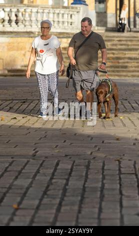 Ein blinder Mann und eine ältere Frau gehen an einem sonnigen Tag zusammen, begleitet von einem Blindenhund. Sie schlendern bequem auf einem gepflasterten Pfad entlang und genießen die Stockfoto