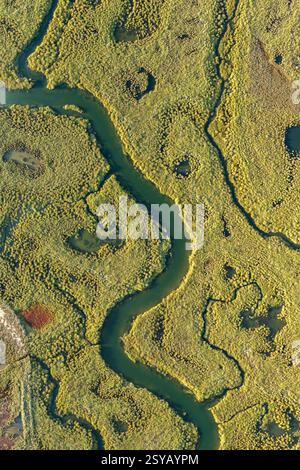 Aus der Vogelperspektive der Guadalquivir Marschen, die einen sich windenden Fluss durch lebendige grüne Feuchtgebiete ziehen und die Schönheit der natürlichen Landschaften hervorheben Stockfoto