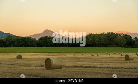 Eine ruhige ländliche Szene mit runden Heuballen, die auf einem ausgeernteten Feld in Genf, Schweiz, verstreut sind. Der Berg Mont Blanc im Hintergrund sitzt unter einem Sof Stockfoto
