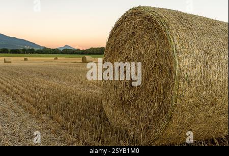 Ein großer runder Heuballen sitzt während des Sonnenuntergangs in Genf, Schweiz, in einem sonnendurchfluteten Feld. Die goldenen Töne betonen die Textur des Heu, mit Mon Stockfoto
