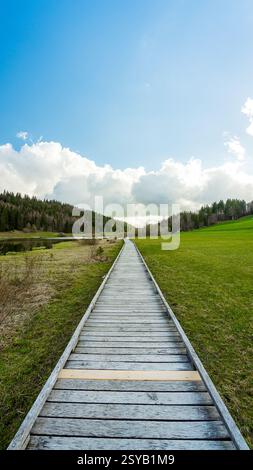 Ein ruhiger Holzsteg führt durch eine üppige Frühlingswiese mit lebhaftem grünem Gras und verstreuten Wolken über dem französischen Jura. Stockfoto