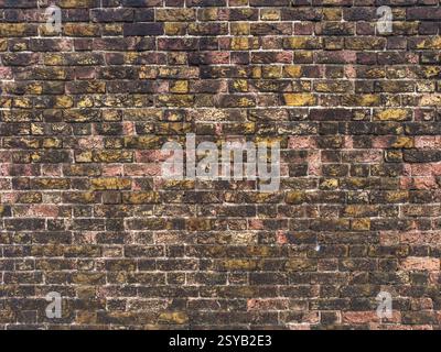 Detaillierte Ansicht einer alten Ziegelmauer in London mit einer Mischung aus verwitterten roten und gelben Ziegeln. Die Textur spiegelt den rustikalen Charme und die Geschichte wider Stockfoto