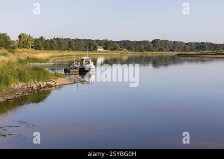Elbe mit Fähre Nixe am linken Elbufer, im Hintergrund die Burg Strehla, Sachsen, Deutschland, Europa Stockfoto