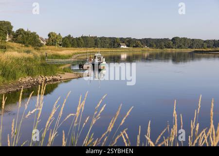 Elbe mit Fähre Nixe am linken Elbufer, im Hintergrund die Burg Strehla, Sachsen, Deutschland, Europa Stockfoto
