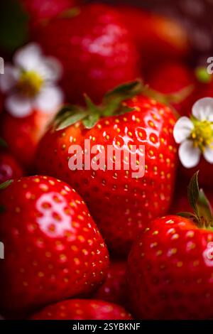 Makroaufnahme von leuchtenden roten Erdbeeren mit Blumen aus nächster Nähe. Frischkost-Konzept Stockfoto
