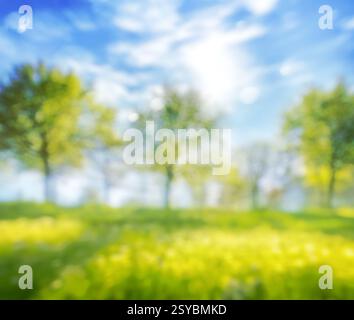 Weicher Fokus verschwommenes Gras auf Wiesen Hintergrund und Bäume im Frühlingspark Stockfoto