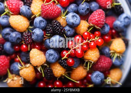 Nahaufnahme von mehrfarbigen gemischten Sommerbeeren: Heidelbeeren, Himbeeren, Johannisbeere, schwarze Johannisbeere und Maulbeeren. Lebensmittelfotografie Stockfoto