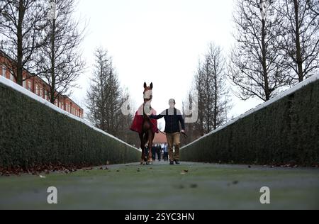 Aktenfoto vom 28.12.2024 von Luna de Castana, ein Tipp für die 4,55 in Ffos Las. Ausgabedatum: Freitag, 28. Februar 2025. Stockfoto