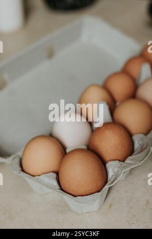 Nahaufnahme von frischen braunen und beigen Eiern im Eierkarton Stockfoto