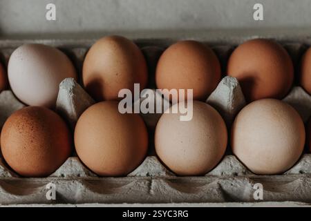 Nahaufnahme von frischen braunen und beigen Eiern im Eierkarton Stockfoto
