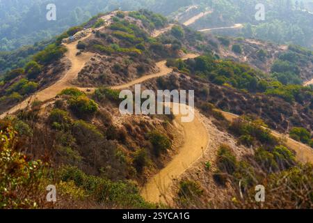Verwinkelte Pfade durch üppige Hügel des Griffith Park in Los Angeles, die wunderschöne Naturlandschaften und vielfältige Vegetation bieten. Stockfoto