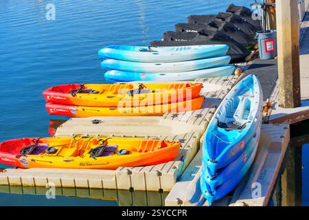 Oceanside, Kalifornien - 27. Dezember 2024: Pulsierende Kajaks in Rot, Gelb und Blau auf einem Yachthafen in Oceanside, Kalifornien Stockfoto