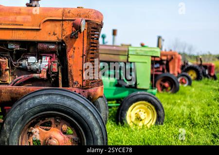 Reihen alter Traktoren werden auf einem Feld geparkt. Die Traktoren haben unterschiedliche Farben und Größen Stockfoto