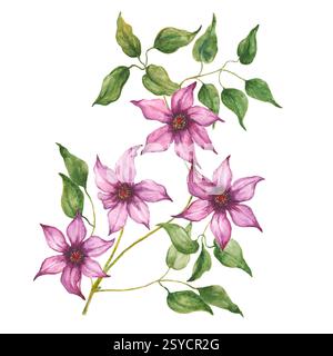 Handgezeichnetes Aquarellbild einer Blume. Stockfoto