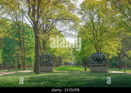 Jogging man City Park, Blick im Frühsommer auf einen jungen Mann, der allein im Tiergarten in Berlin joggen kann. Stockfoto