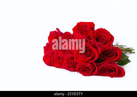 Blumenstrauß aus roten (burgunderroten) Rosen auf weißem Hintergrund. Platz für Text. Nahaufnahme, selektiver Fokus. Stockfoto