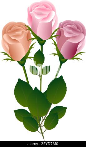 Drei Rosen auf weißem Hintergrund. Stock Vektor