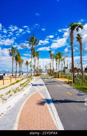 Stockfoto Miami Key Biscayne neuer Park am Rickenbacker Causeway, Nordseite 2025 Stockfoto