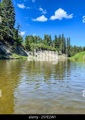 Ein natürlicher Fluss mit sichtbarer Erosion, umgeben von immergrünen Bäumen unter einem hellblauen Himmel mit verstreuten Wolken. Das ruhige Wasser spiegelt das lan wider Stockfoto