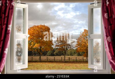 Wunderschöne Herbstbäume mit Blick durch ein modernes offenes Fenster. Ländliches Wohnkonzept und Frischluftkonzept Stockfoto