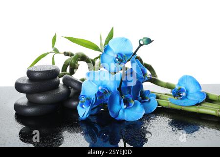 Schöne blaue Orchideenblüten, Bambusstiele und Spa-Steine auf nasser Spiegeloberfläche vor weißem Hintergrund Stockfoto