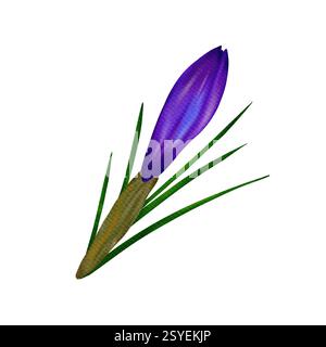 Wunderbarer lila Osterkrokus. Digitale Aquarellillustration, isoliertes Objekt aus einem großen Satz Stockfoto