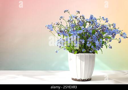 Schöne Frühlings-Vergissmeinnicht-Blumen in einer Vase auf hellem Hintergrund, Flyer. Abstraktes Blumenarrangement, Stillleben mit Platz für Text, Blumenkohl Stockfoto