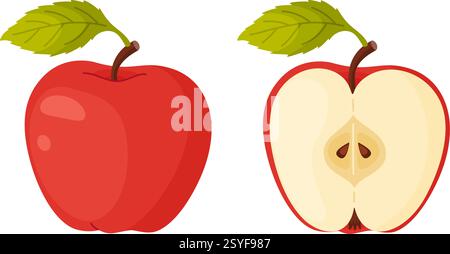 Roter reifer Apfel. Ganze und halbe Früchte frischer Gartenfrüchte aus rotem Apfel. Handgezeichnetes Food Clipart. Cartoon Apfelfrucht flache Art isoliert, transparenter Hintergrund Rot köstliche Vektor-Illustration Stock Vektor