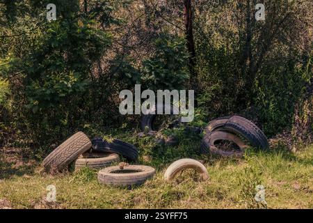 Einige alte Reifen wurden am Rande eines Waldes in einer Farm in der Nähe der Kolonialstadt Villa de Leyva in Zentral-Kolumbien entsorgt. Stockfoto