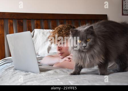 Junger Mann, der sich ein Video auf einem Laptop ansieht, mit einer Katze, die den Schuss bombardiert Stockfoto