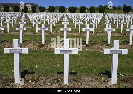 Kreuze auf dem Militärfriedhof in der Nähe des Ossarys von Douaumont, 1. Weltkrieg, Verdun, Region Grand Est, Frankreich, Europa Stockfoto