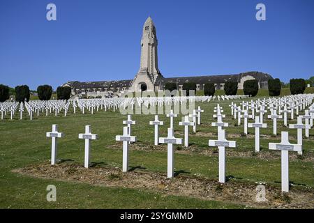 Friedhof von Soldaten, die im Ersten Weltkrieg getötet wurden, im Hintergrund das Ossarium von Douaumont, Verdun, Region Grand Est, Frankreich, Europa Stockfoto