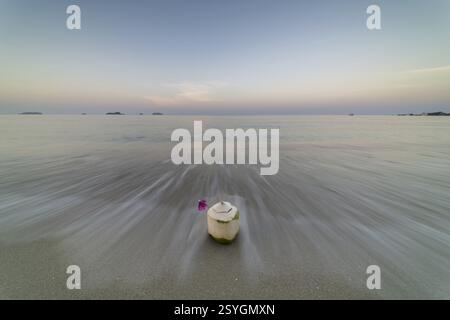 Kokosnuss bei Sonnenaufgang am Strand, Koh Changi Island, Andamanensee, Südthailand, Thailand, Asien Stockfoto