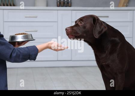 Frau mit Futterschüssel, die ihrem Hund drinnen trockenes Futter gibt, Nahaufnahme Stockfoto
