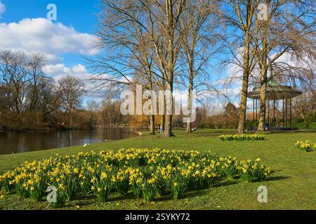 Regent's Park im Frühling, London UK, mit Narzissen, und dem Holme Green Bandstand und Bootsee im Hintergrund Stockfoto