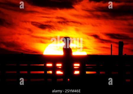 Isle Of Palms, Usa. März 2025. Eine Person, die vom Sonnenaufgang über dem Atlantischen Ozean geschildert wird, beobachtet vom Isle of Palms Pier am Front Beach, 1. März 2025 in Isle of Palms, South Carolina. Eine allmähliche Erwärmung bis in die 70er Jahre wird sich nach einem harten Winter im Tiefland fortsetzen. Quelle: Richard Ellis/Richard Ellis/Alamy Live News Stockfoto