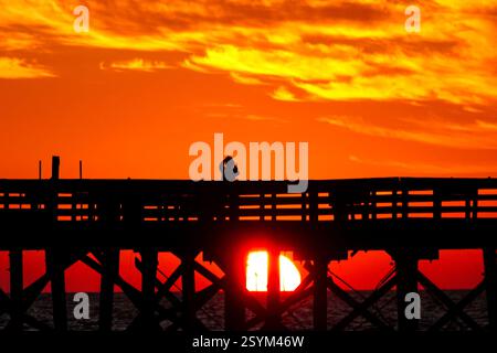 Isle Of Palms, Usa. März 2025. Eine Person, die vom Sonnenaufgang über dem Atlantischen Ozean geschildert wird, beobachtet vom Isle of Palms Pier am Front Beach, 1. März 2025 in Isle of Palms, South Carolina. Eine allmähliche Erwärmung bis in die 70er Jahre wird sich nach einem harten Winter im Tiefland fortsetzen. Quelle: Richard Ellis/Richard Ellis/Alamy Live News Stockfoto