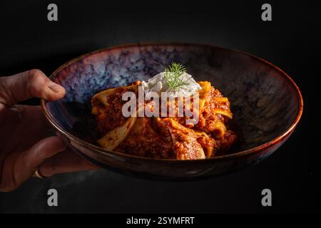 Ein italienisches Gourmet-Pastagericht mit reichhaltiger Fleischsauce und Ricotta, serviert in einer rustikalen Keramikschale. Eine perfekte Mahlzeit für Liebhaber authentischer italienischer Küche Stockfoto