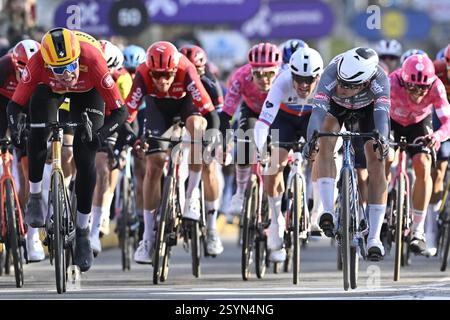 Ninove, Belgien. März 2025. Der norwegische Soren Waerenskjold von UNO-X Mobility und der belgische Jasper Philipsen von Alpecin-Deceuninck sprangen am Samstag, den 1. März 2025, zum Ziel des eintägigen Radrennens Omloop Het Nieuwsblad (UCI World Tour), 197 km von Gent nach Ninove. BELGA FOTO DIRK WAEM Credit: Belga News Agency/Alamy Live News Stockfoto