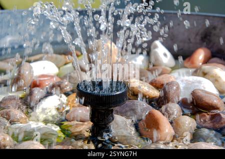 Eine Nahaufnahme eines kleinen schwarzen Brunnens, der Wasser nach oben sprüht. Der Brunnen ist von glatten, bunten Felsen verschiedener Größe umgeben Stockfoto